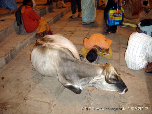 20081031_38.jpg