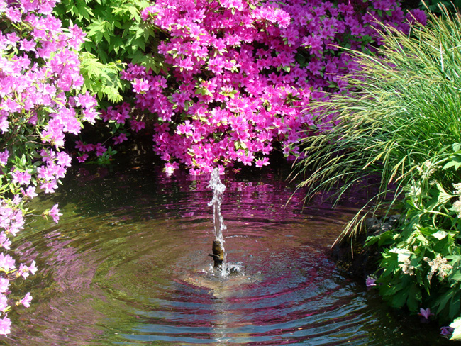 20080505_68.jpg