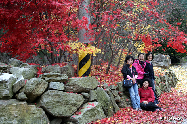 20091101_15.jpg