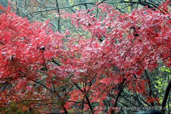 20081115_41.jpg