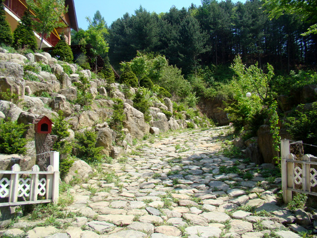 20080505_89.jpg