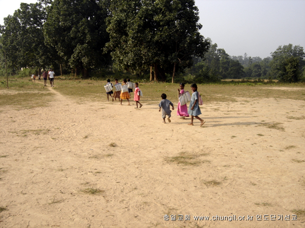 20081029_117.jpg