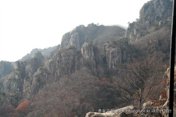 20081115_17.jpg