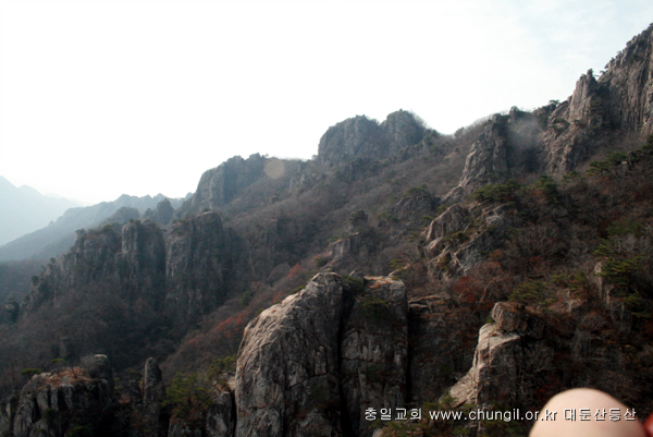20081115_20.jpg