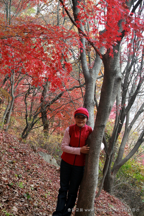 20081115_43.jpg