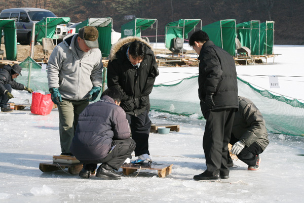 20080202_2.jpg
