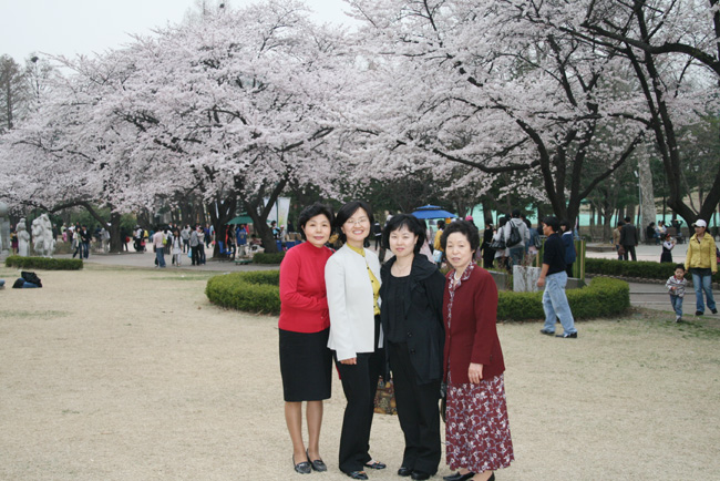 20080406_1.jpg