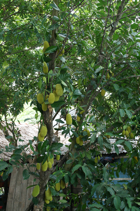 20080229_8.jpg