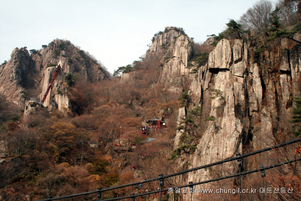 20081115_16.jpg