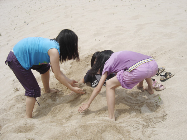 20070606_12.jpg