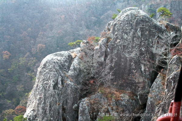 20081115_18.jpg