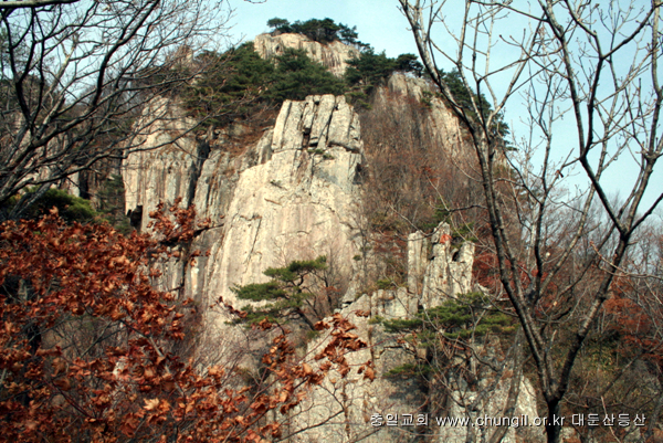 20081115_10.jpg