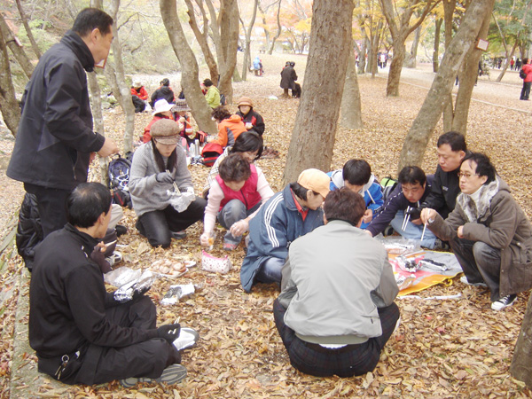 20071111_13.jpg