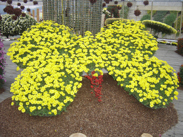 20071111_42.jpg