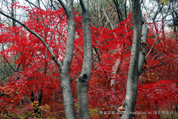 20081115_44.jpg