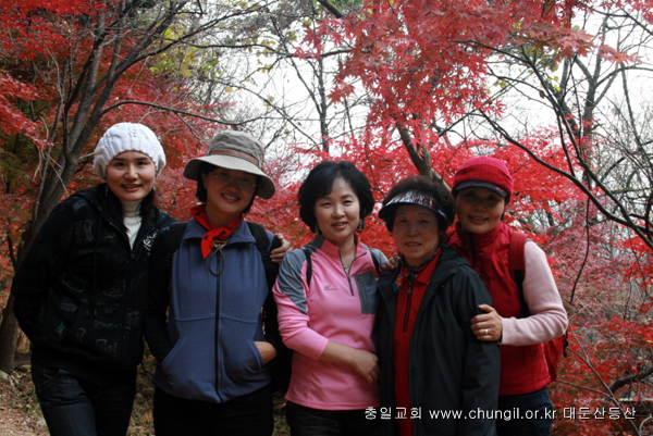 20081115_39.jpg