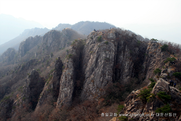 20081115_23.jpg