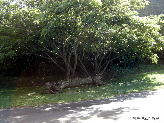 20090913_22.jpg