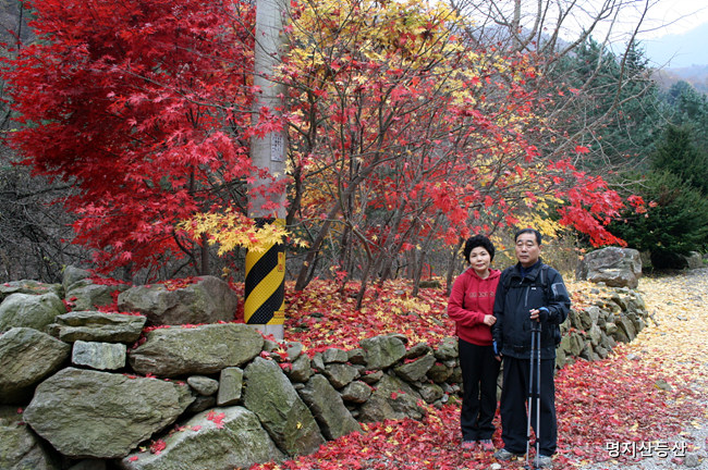 20091101_16.jpg