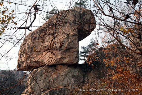 20081115_09.jpg
