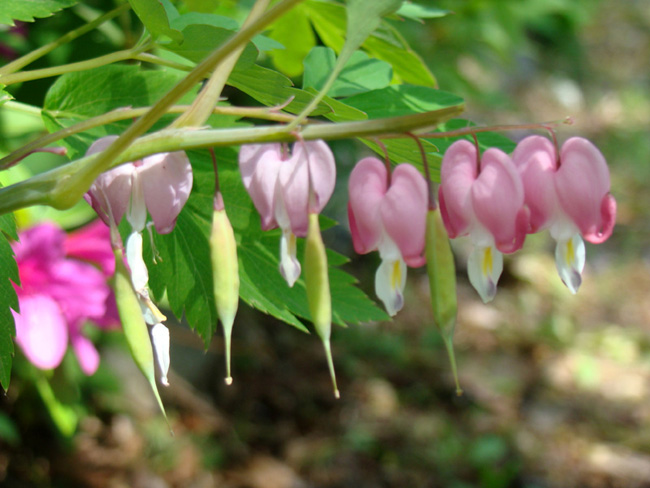 20080505_71.jpg