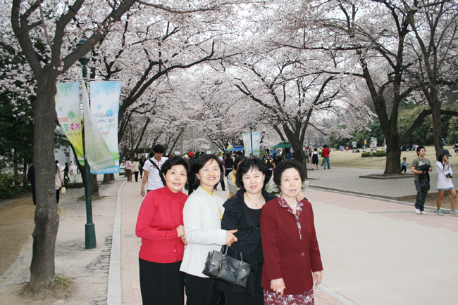 20080406_3.jpg