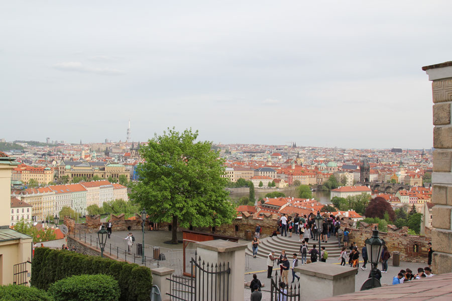 88.jpg