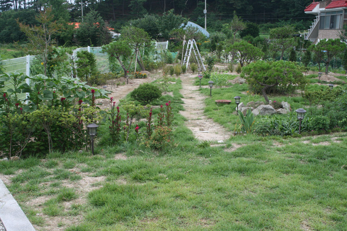 20120710_04.jpg