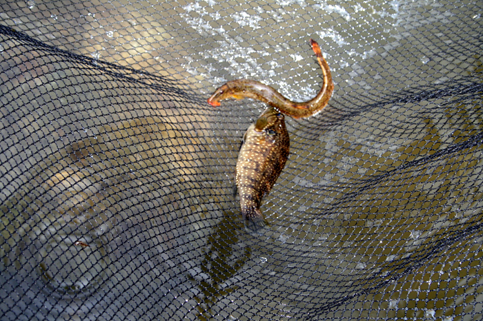 20110611_21.jpg
