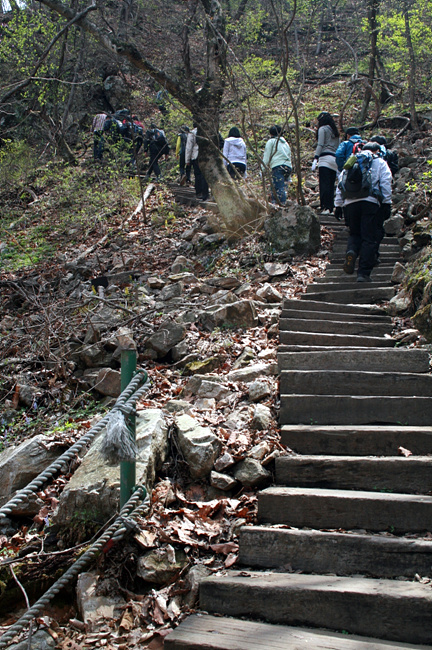 20110423_03.jpg