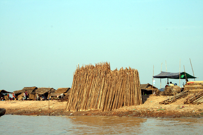 20110121_27.jpg