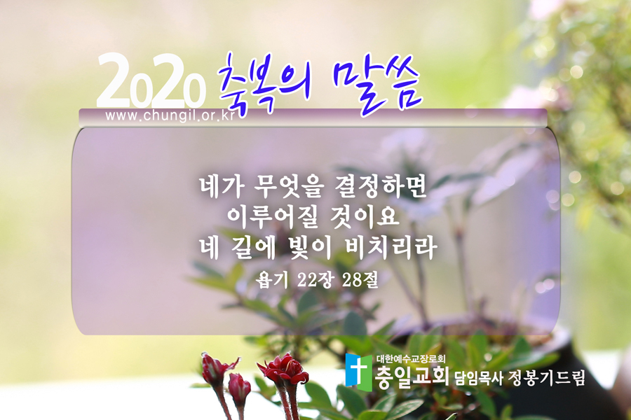 01.jpg