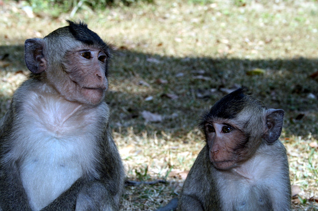 20110121_80.jpg
