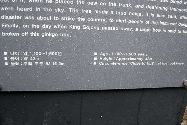 20111029_12.jpg