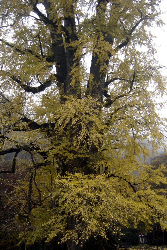 20111029_10.jpg