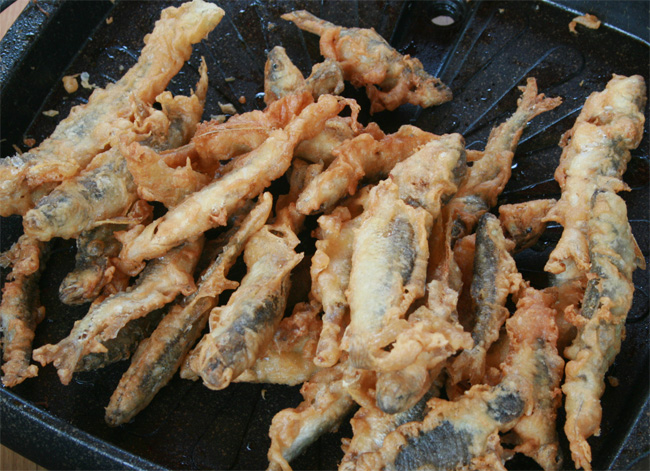 20110806_06.jpg