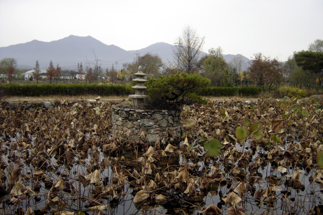 20111029_23.jpg