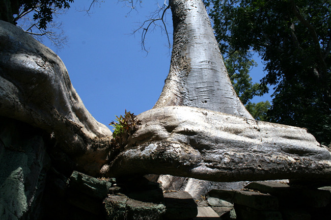 20110121_92.jpg