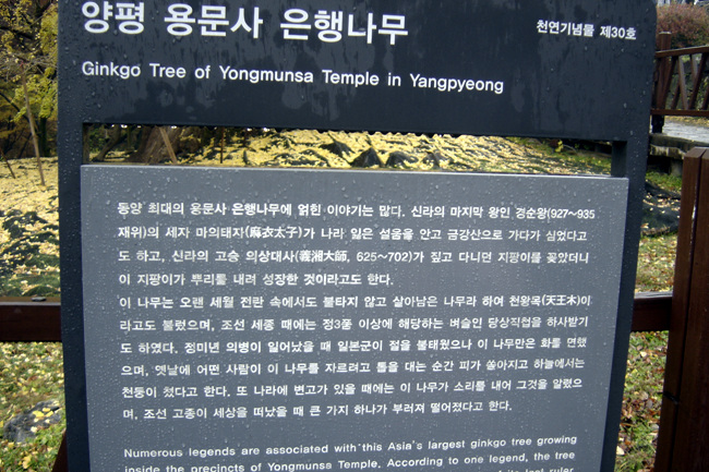 20111029_11.jpg