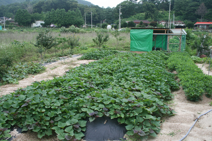 20120710_07.jpg